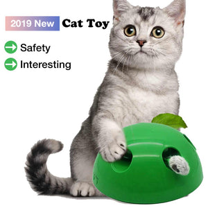 POP N PLAY Cat Toy Funny Cat Interactive Toy At Scratching Device For Cat Sharpen Claw Pop Play Cat Training Toy Pet Supplies