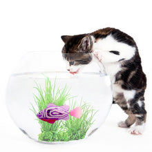 Load image into Gallery viewer, Battery-Powered Fish Cat Toy Water Activated LED Swimming Fish Toy Cat Fish Toys with Aquatic Weed &amp; Screwdriver for Cats