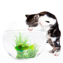 Load image into Gallery viewer, Battery-Powered Fish Cat Toy Water Activated LED Swimming Fish Toy Cat Fish Toys with Aquatic Weed &amp; Screwdriver for Cats