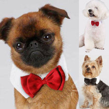 Load image into Gallery viewer, Fashion Adjustable Pet Bows Puppy Kitten Dogs Cat Tie-Collar Necktie Bowknot Clothes For Pets Dog Cat New Strap Styling New 2019