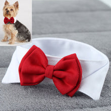 Load image into Gallery viewer, Fashion Adjustable Pet Bows Puppy Kitten Dogs Cat Tie-Collar Necktie Bowknot Clothes For Pets Dog Cat New Strap Styling New 2019