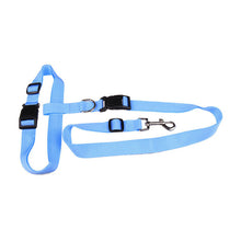 Load image into Gallery viewer, Attractive  Beautiful  Colorful Popular Traction Pulling Leash Pet Dog Running Jogging Convenient Safe Fashional  Goods for pets