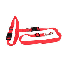 Load image into Gallery viewer, Attractive  Beautiful  Colorful Popular Traction Pulling Leash Pet Dog Running Jogging Convenient Safe Fashional  Goods for pets