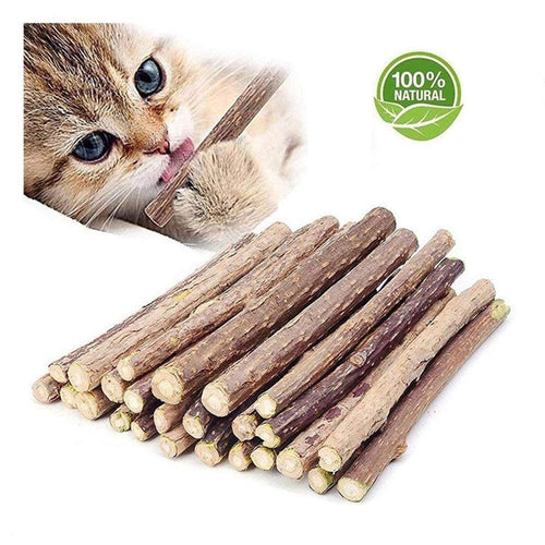 Cat Catnip Sticks Pet Teeth Cleaning Chew Toy for Cats 100% Natural Matatabi Actinidia Silver Vine Dental Treats Molar Sticks