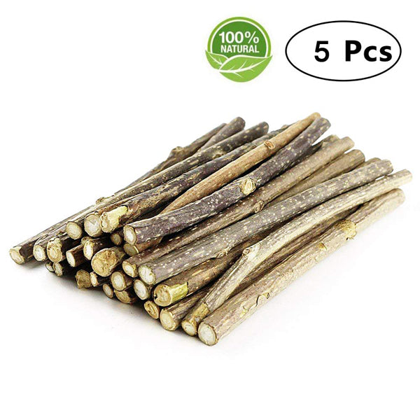 Cat Catnip Sticks Pet Teeth Cleaning Chew Toy for Cats 100% Natural Matatabi Actinidia Silver Vine Dental Treats Molar Sticks