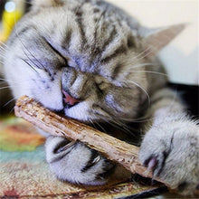 Load image into Gallery viewer, Cat cleaning teeth Pure natural catnip pet cat molar Toothpaste Stick Fruit Matatabi Cat Snacks Sticks Pet Cat Supplies