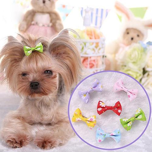 6 Pcs Dog Cat Puppy Hair Clips Hair Bow Tie Flower Bowknot Hairpin Pet Grooming Pet Products