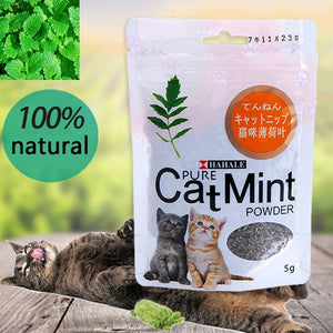 Menthol Flavor Cat Treats Digestive Pet Supplies Promotional Premium Catnip Hot Sale Cat Mint Natural Pet Food Organic Funny Toy