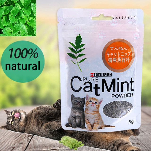 Menthol Flavor Cat Treats Digestive Pet Supplies Promotional Premium Catnip Hot Sale Cat Mint Natural Pet Food Organic Funny Toy