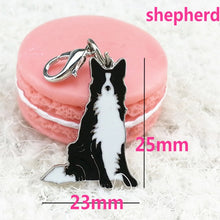 Load image into Gallery viewer, New Painted Pet Pendant  High Quality Pet Pendant Pet Keychain Pet Decorations  Variety Suitable For All Kinds Of Dogs